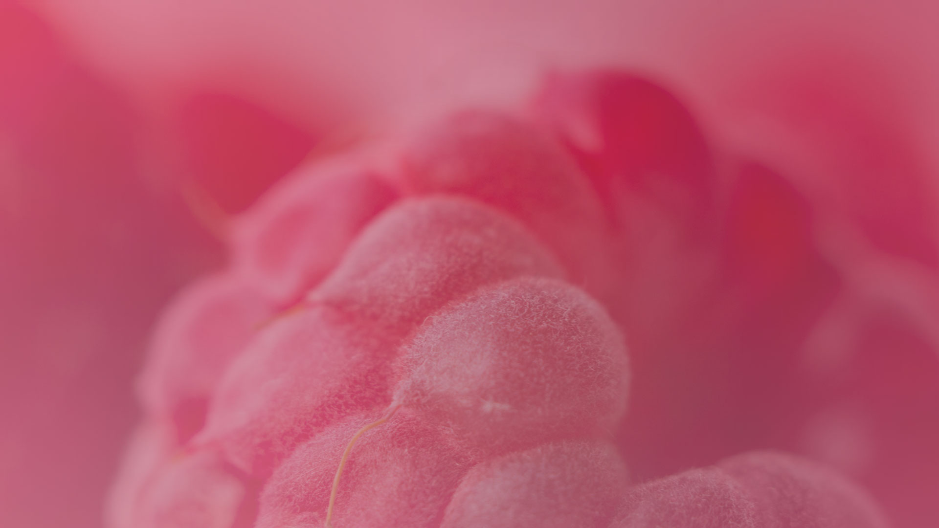bg-slide-4-v.2.jpg
